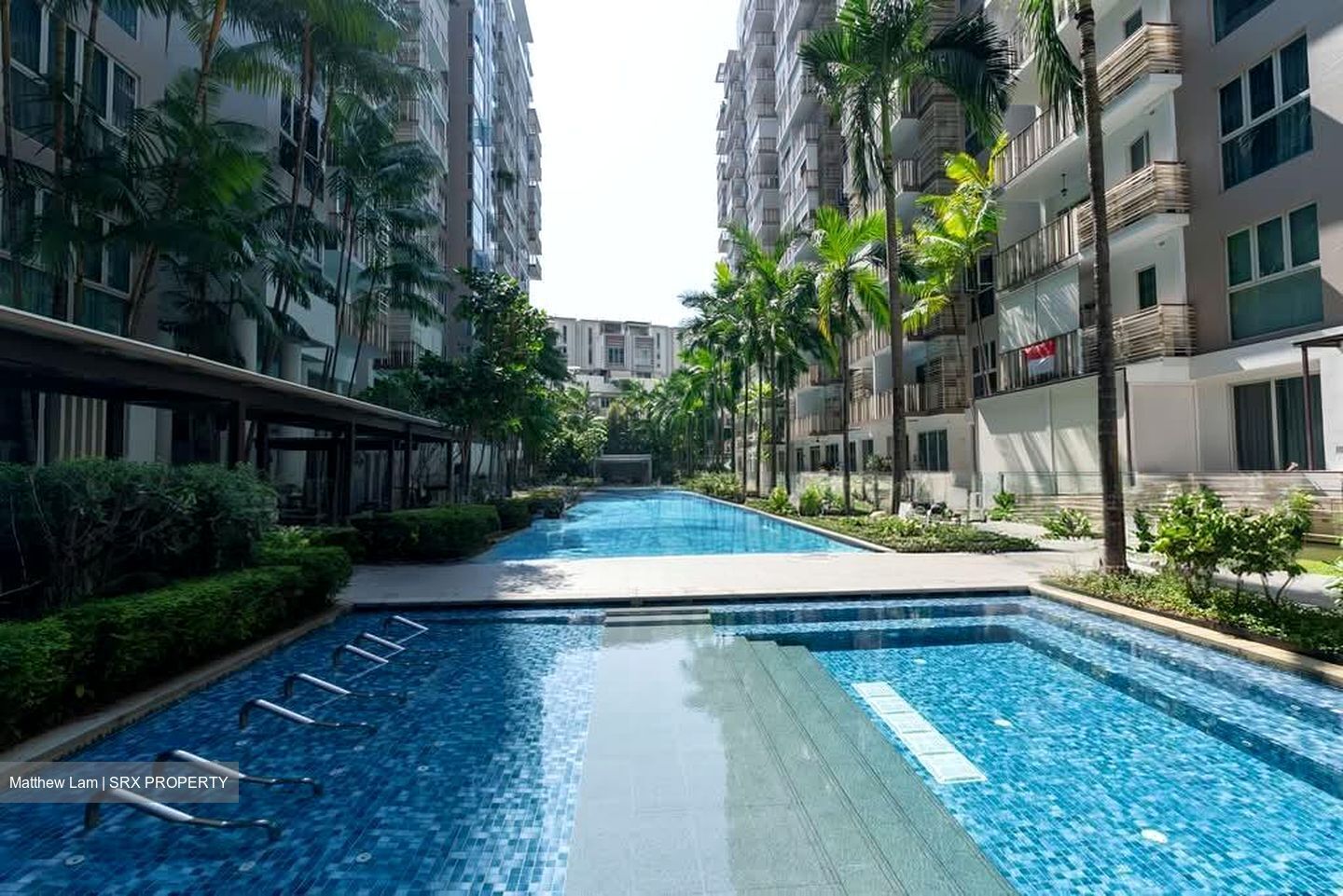 eCO (D16), Condominium #595774181